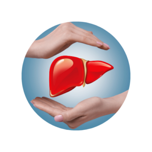 Liver Wellness