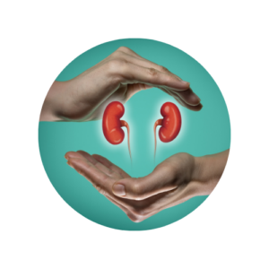 Kidney Wellness