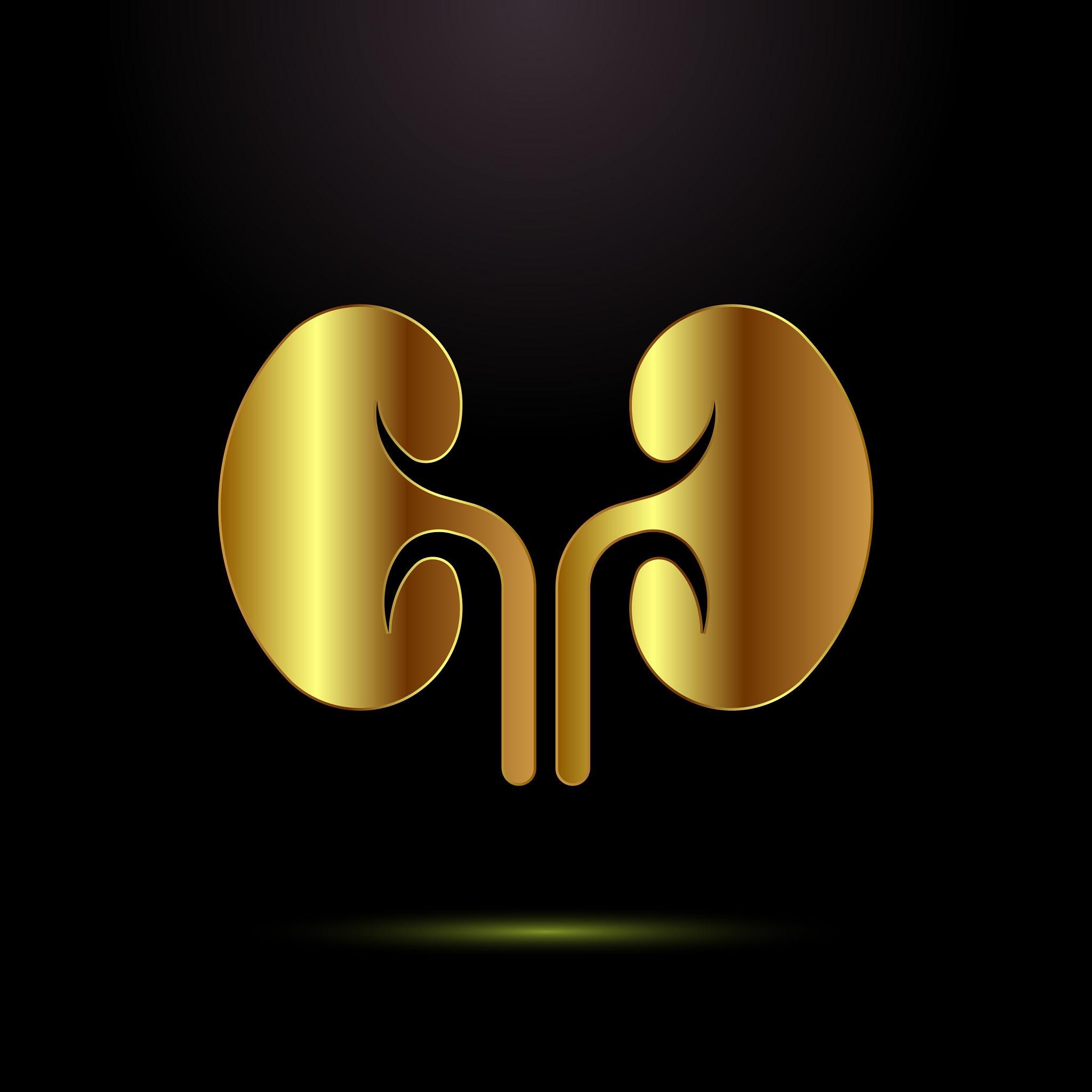 Premium Ayurvedic Kidney Care Product