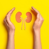 kidney